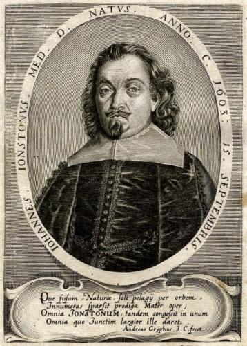 Johnston_Portrait