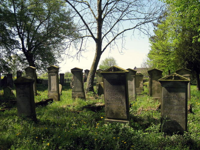 cmentarz mennonicki w Stogach koło Malborka