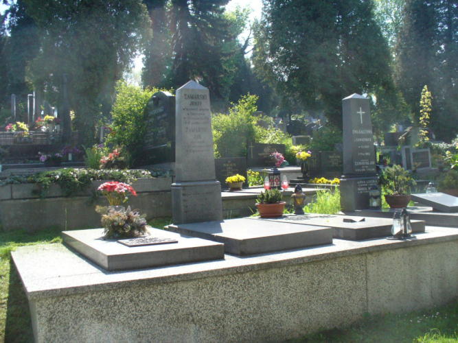Cieszyn - cmentarz ewngelicko - augsburski - ul. Bielska(3)