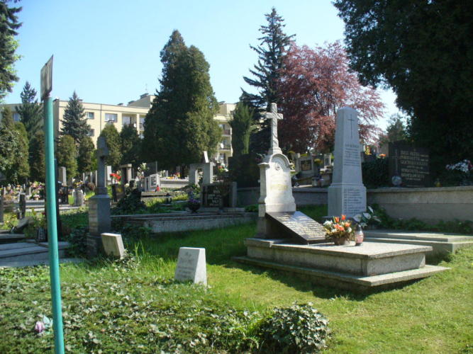 Cieszyn - cmentarz ewngelicko - augsburski - ul. Bielska(4)